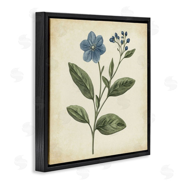 Stupell Industries Petal Prints Design | Vintage Blue Blossoms Wildflower Wall Art