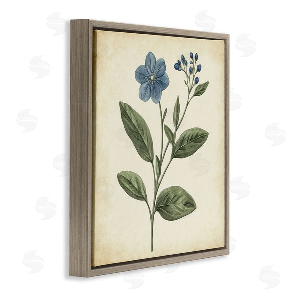 Stupell Industries Petal Prints Design | Vintage Blue Blossoms Wildflower Wall Art