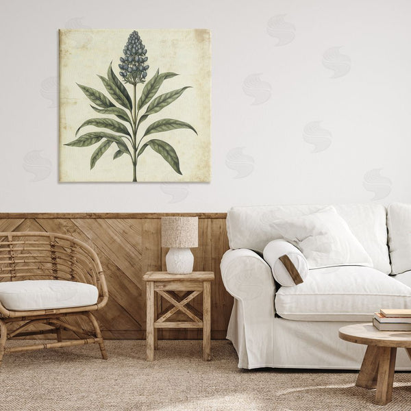 Stupell Industries Petal Prints Design | Vintage Blue Botanical Illustration Wall Art