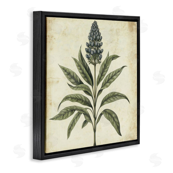 Stupell Industries Petal Prints Design | Vintage Blue Botanical Illustration Wall Art