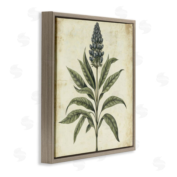 Stupell Industries Petal Prints Design | Vintage Blue Botanical Illustration Wall Art