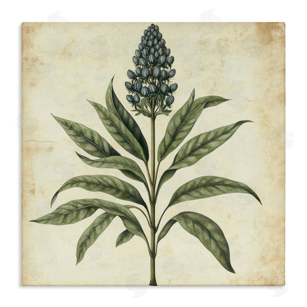 stupell industries Petal Prints Design | Vintage Blue Botanical Illustration Wall Art