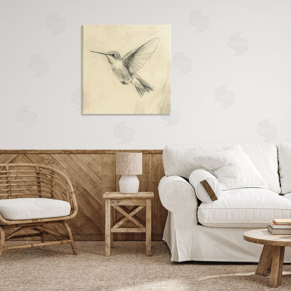Stupell Industries Petal Prints Design | Vintage Hummingbird Sketch Wall Art