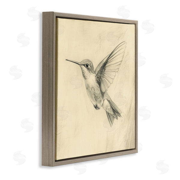 Stupell Industries Petal Prints Design | Vintage Hummingbird Sketch Wall Art