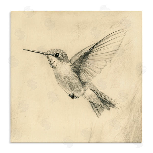 stupell industries Petal Prints Design | Vintage Hummingbird Sketch Wall Art