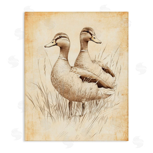 stupell industries Petal Prints Design | Vintage Pair of Ducks Wall Art