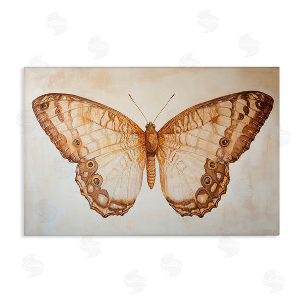 stupell industries Petal Prints Design | Vintage Sepia Moth Illustration Wall Art