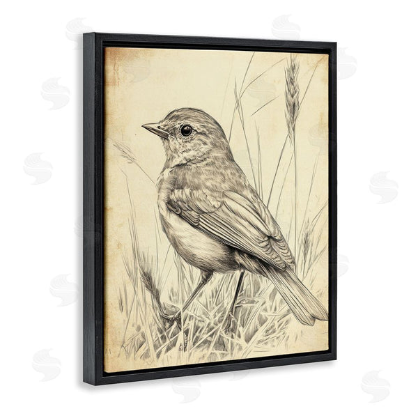 Stupell Industries Petal Prints Design | Vintage Small Sketched Bird Wall Art