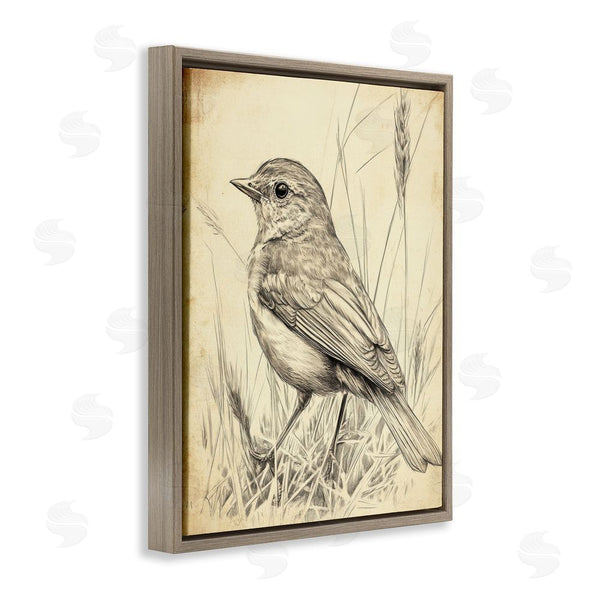 Stupell Industries Petal Prints Design | Vintage Small Sketched Bird Wall Art