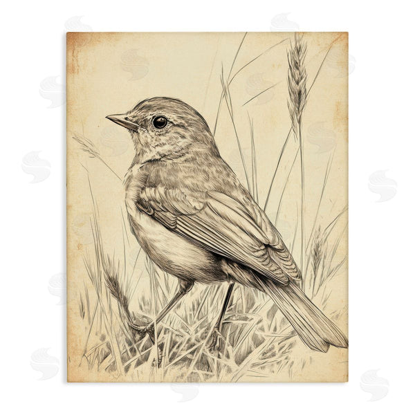 stupell industries Petal Prints Design | Vintage Small Sketched Bird Wall Art