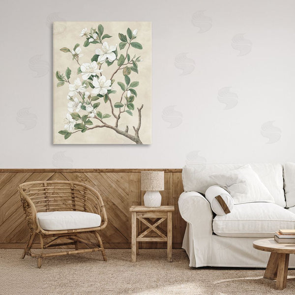 Stupell Industries Petal Prints Design | Vintage White Blossomed Tree Wall Art
