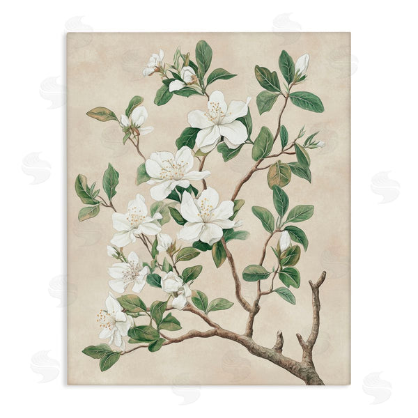 stupell industries Petal Prints Design | Vintage White Blossomed Tree Wall Art