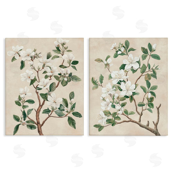 stupell industries Petal Prints Design | Vintage White Floral Blossomed Trees Wall Art