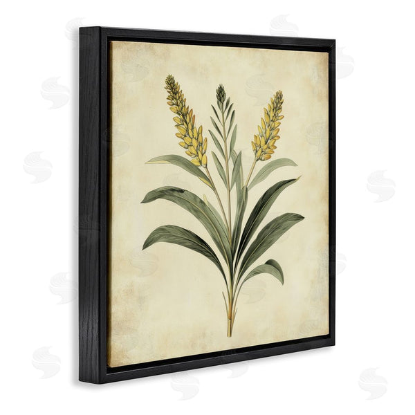 Stupell Industries Petal Prints Design | Vintage Yellow Wheat Illustration Wall Art