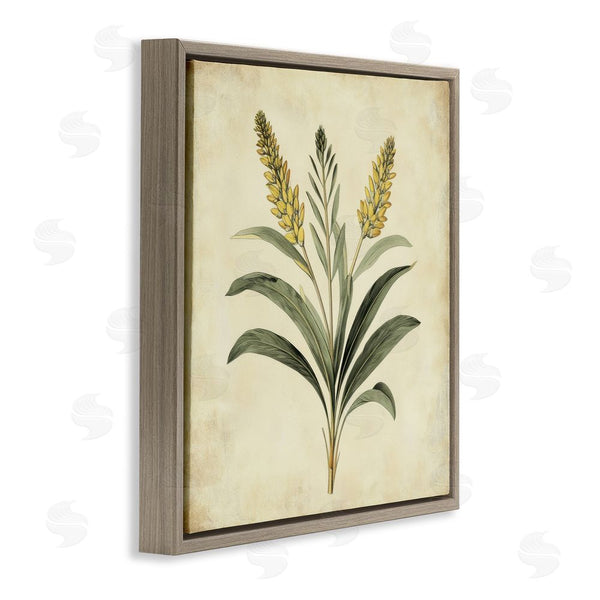 Stupell Industries Petal Prints Design | Vintage Yellow Wheat Illustration Wall Art