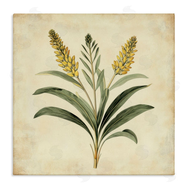 stupell industries Petal Prints Design | Vintage Yellow Wheat Illustration Wall Art