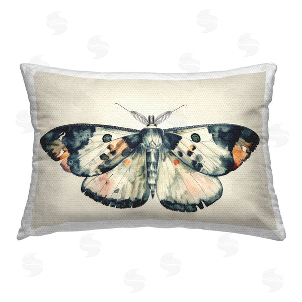 Stupell Industries Petal Prints Design | Watercolor Black Trimmed Moth