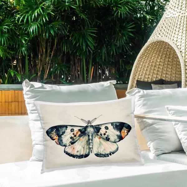 Stupell Industries Petal Prints Design | Watercolor Black Trimmed Moth