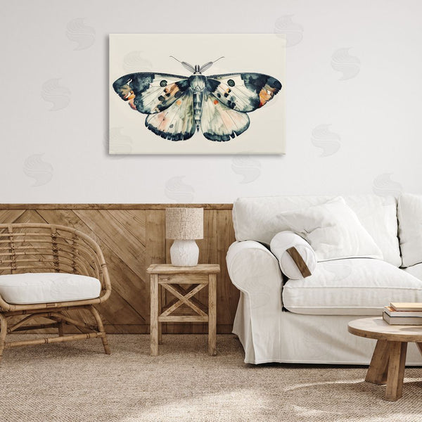 Stupell Industries Petal Prints Design | Watercolor Black Trimmed Moth Wall Art