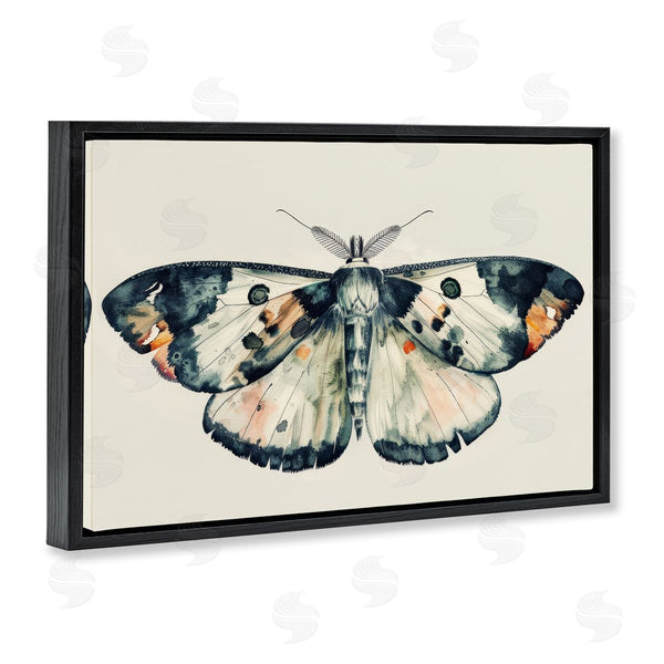 Stupell Industries Petal Prints Design | Watercolor Black Trimmed Moth Wall Art