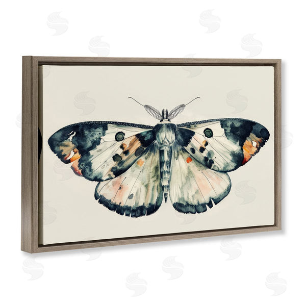 Stupell Industries Petal Prints Design | Watercolor Black Trimmed Moth Wall Art