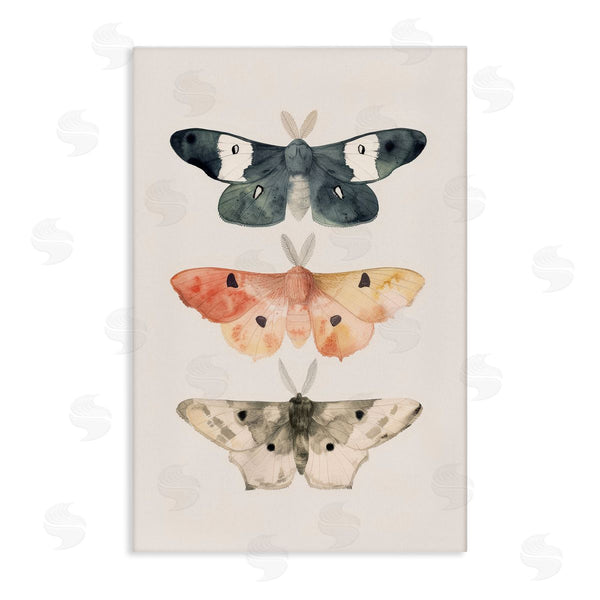 stupell industries Petal Prints Design | Watercolor Moth Trio Wall Art