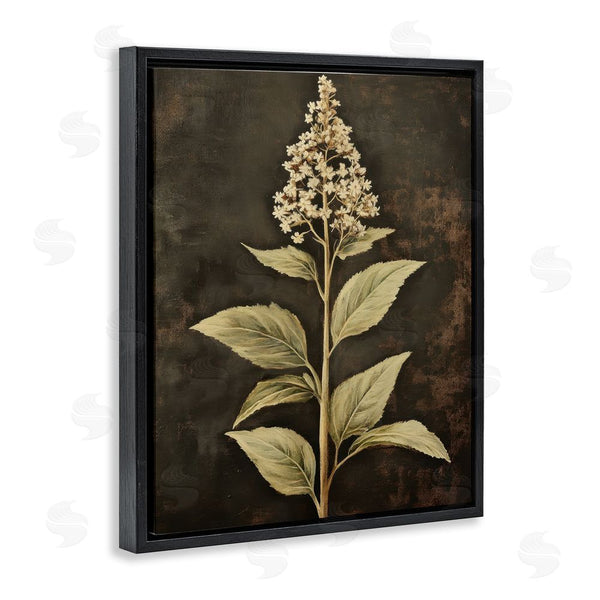 Stupell Industries Petal Prints Design | Weathered Flower Portrait Wall Art
