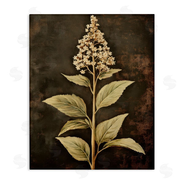 stupell industries Petal Prints Design | Weathered Flower Portrait Wall Art