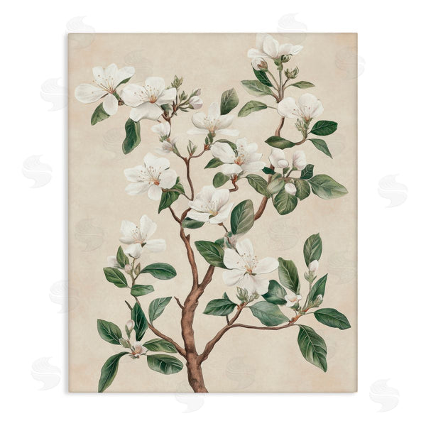 stupell industries Petal Prints Design | White Floral Blossom Tree Wall Art