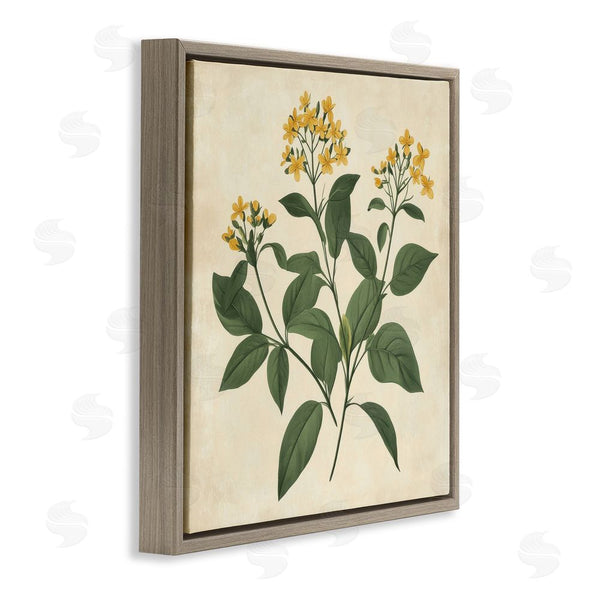 Stupell Industries Petal Prints Design | Yellow Bushels Botanical Illustration Wall Art