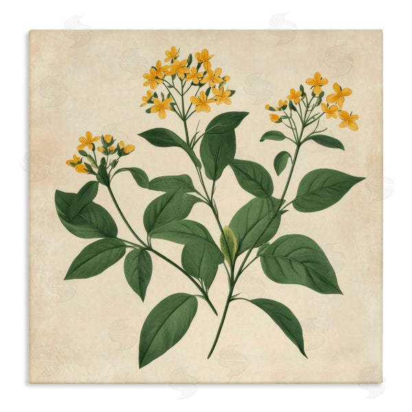 stupell industries Petal Prints Design | Yellow Bushels Botanical Illustration Wall Art