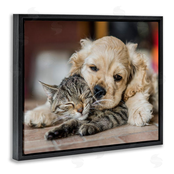 Stupell Industries Peter Cech | Cat & Puppy Cuddling Wall Art