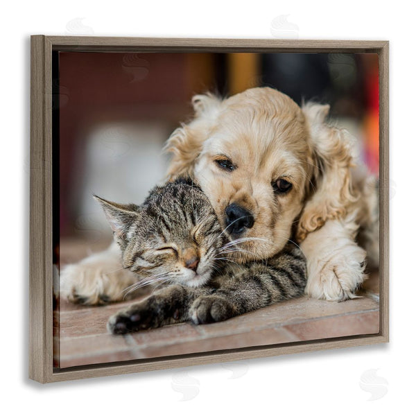 Stupell Industries Peter Cech | Cat & Puppy Cuddling Wall Art