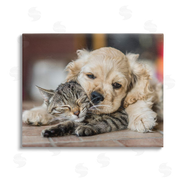 stupell industries Peter Cech | Cat & Puppy Cuddling Wall Art