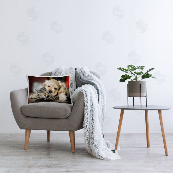 Stupell Industries Peter Cech | Cuddling Puppy & Kitten