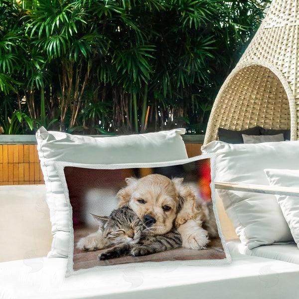 Stupell Industries Peter Cech | Cuddling Puppy & Kitten