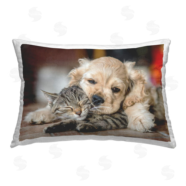 stupell industries Peter Cech | Cuddling Puppy & Kitten