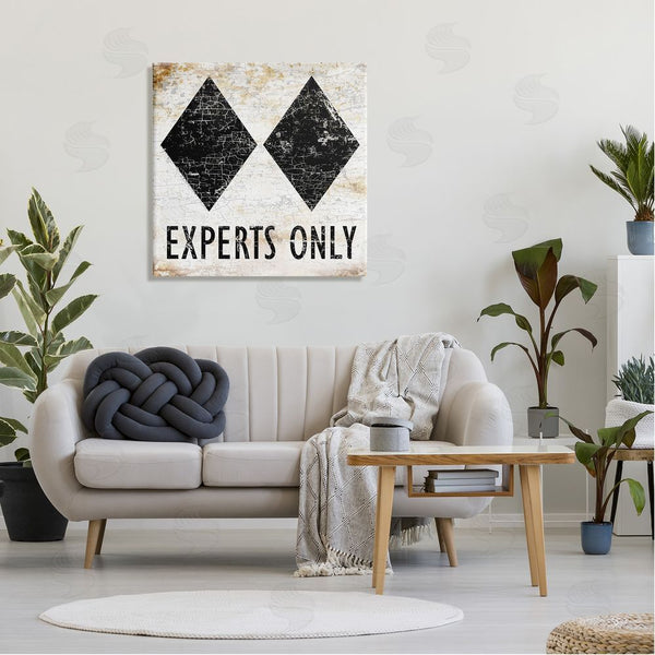 Stupell Industries Peter Horjus | Rustic Experts Only Skiing Wall Art