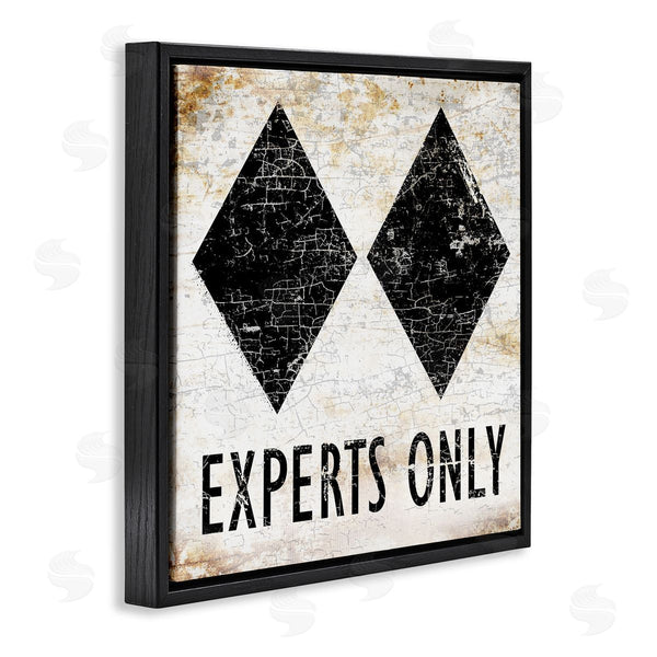 Stupell Industries Peter Horjus | Rustic Experts Only Skiing Wall Art