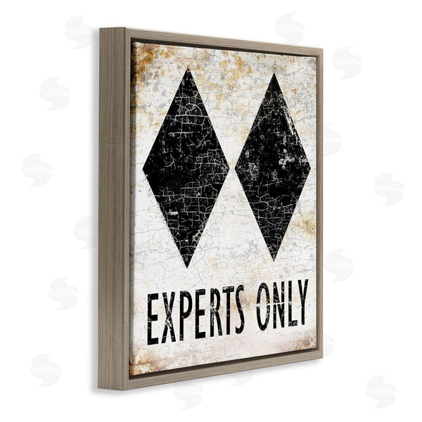 Stupell Industries Peter Horjus | Rustic Experts Only Skiing Wall Art