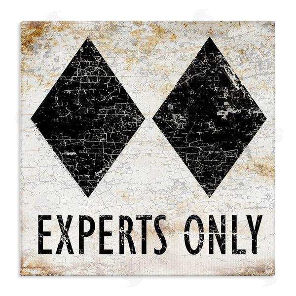 stupell industries Peter Horjus | Rustic Experts Only Skiing Wall Art