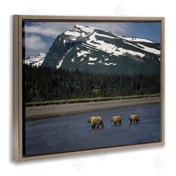 Stupell Industries PH Burchett | Bears Crossing Icy River Wall Art