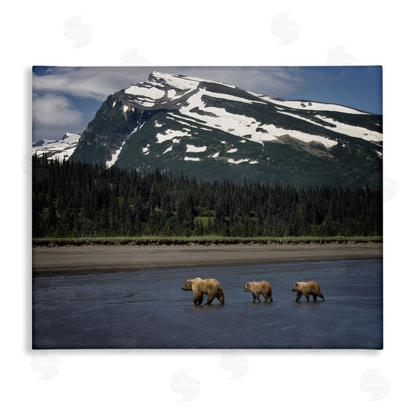 stupell industries PH Burchett | Bears Crossing Icy River Wall Art