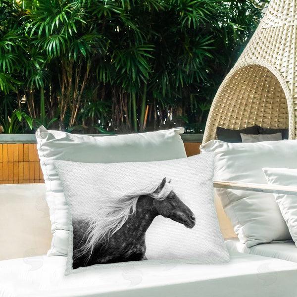 Stupell Industries PH Burchett | Dark Horse With White Mane