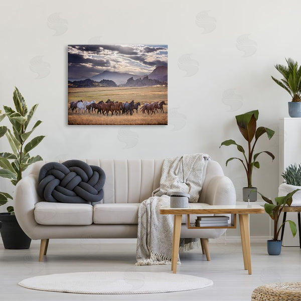 Stupell Industries PH Burchett | Galloping Horses Cloudy Mountains Wall Art