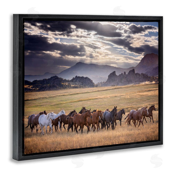 Stupell Industries PH Burchett | Galloping Horses Cloudy Mountains Wall Art