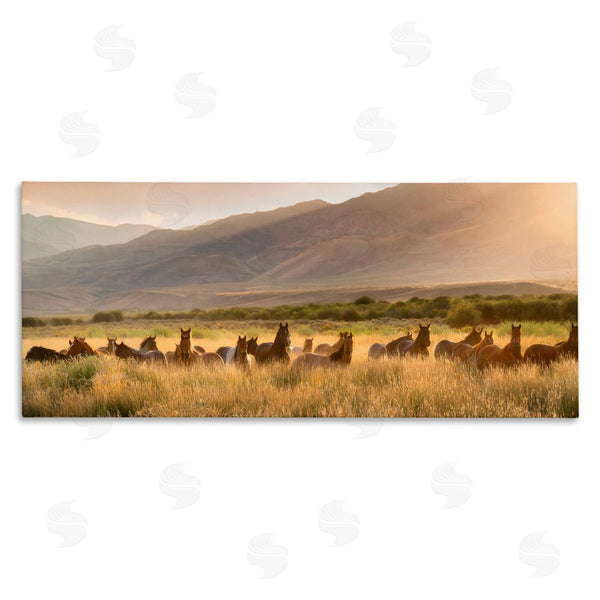 stupell industries PH Burchett | Horse Herd in Mountains Wall Art