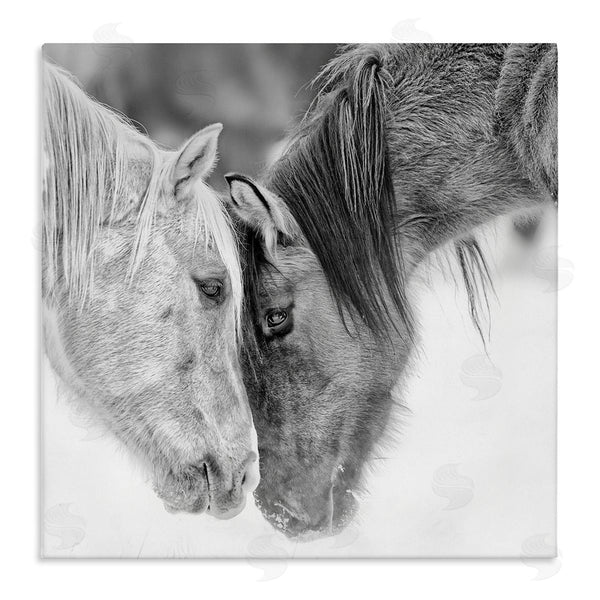 stupell industries PH Burchett | Horse Hug Photography