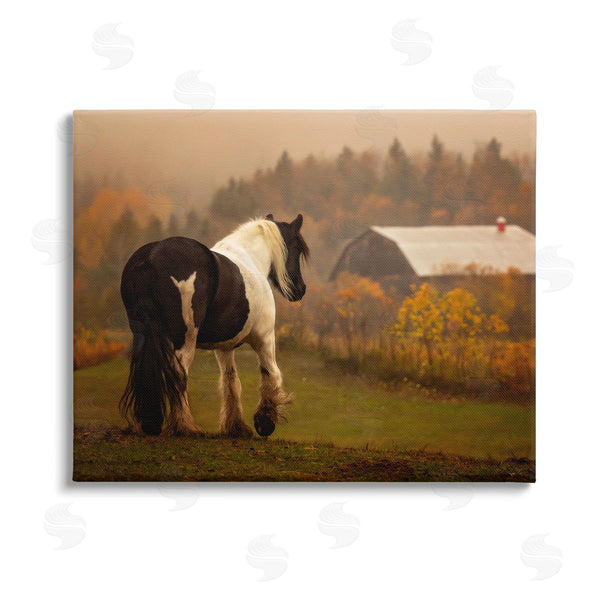 stupell industries PH Burchett | Horse Overlooking Barn Wall Art