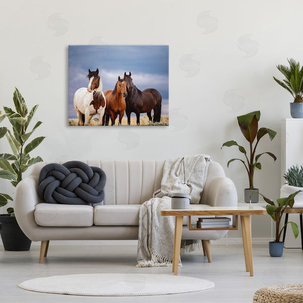 Stupell Industries PH Burchett | Horse Trio Under Clouds Wall Art